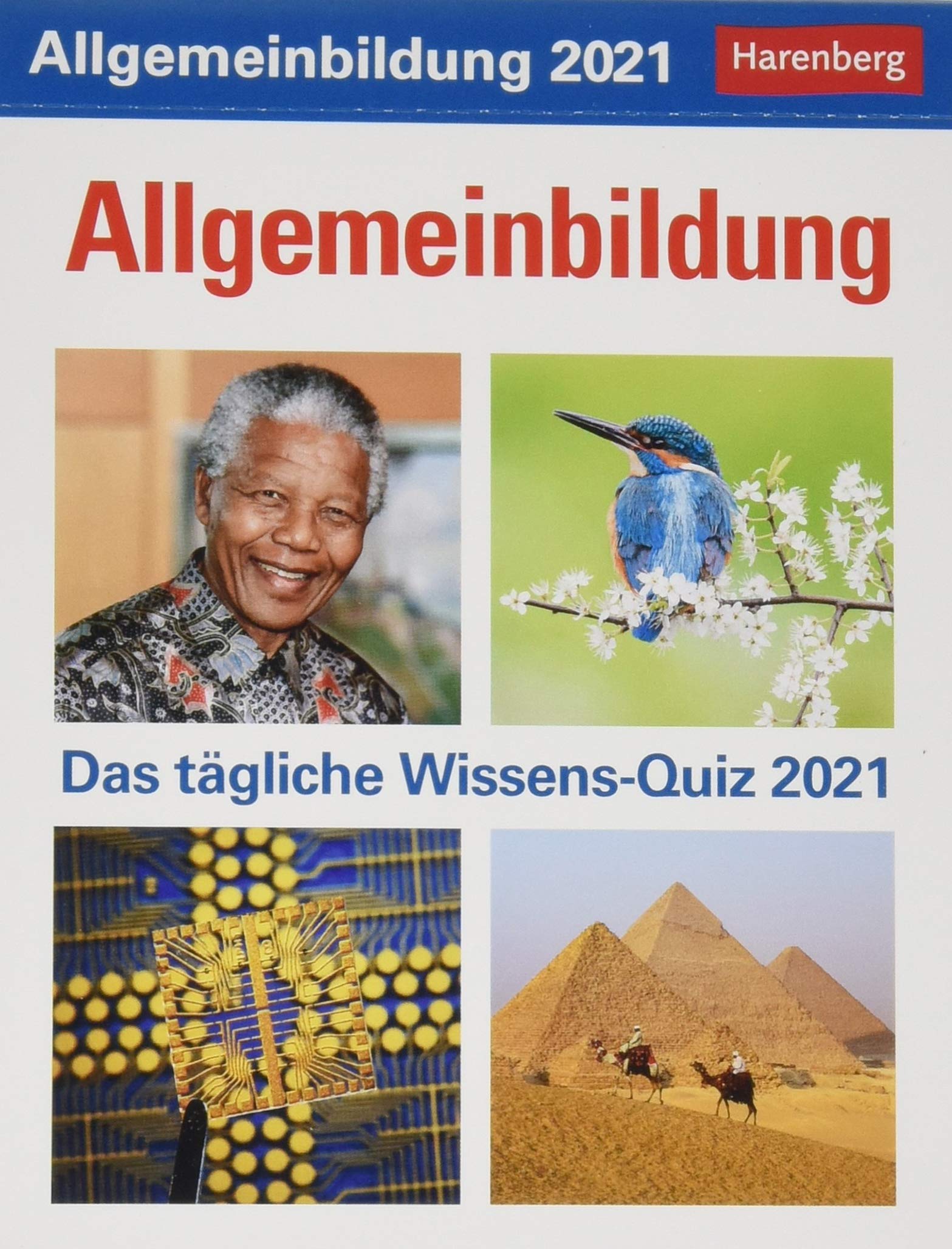 Allgemeinbildung Wissenskalender 2021 - Tagesabreißkalender zum Aufstellen oder Aufhängen - mit spannenden Fragen und Erläuterungen - Format 12,5 x 16 cm: Das tägliche Wissens-Quiz Leisure, Home & Garden