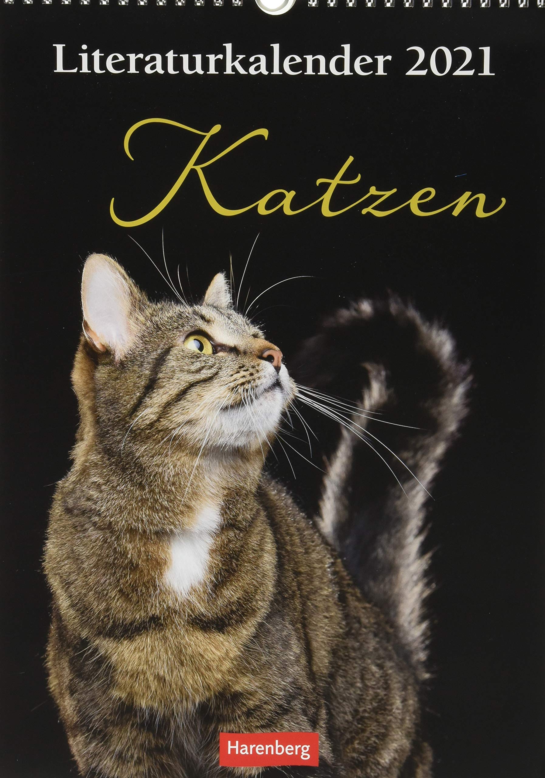 Literaturkalender Katzen Kalender 2021 Poetry