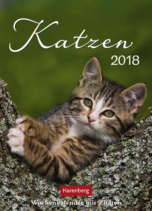 Katzenglück Wochenkalender 2024. Jede Woche eine süße Katze in dem kleinen Fotokalender. Passende Zitate und niedliche Fotos machen diesen Wandkalender zum echten Blickfang!: mit Zitaten Pets