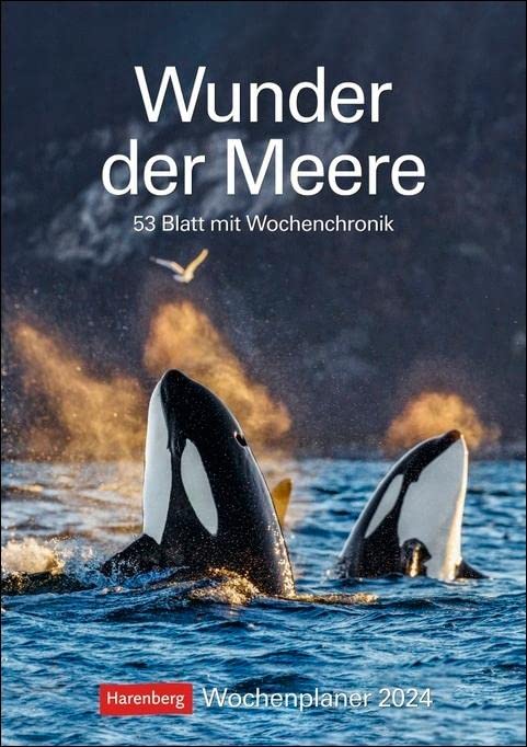 Wunder der Meere Wochenplaner 2024. Ein Wand-Kalender 2024 zum Eintragen und Staunen! Terminkalender mit atemberaubenden Fotos von Meeresbewohnern und Infos zu ihrem Leben: 53 Blatt mit Wochenchronik Calendars