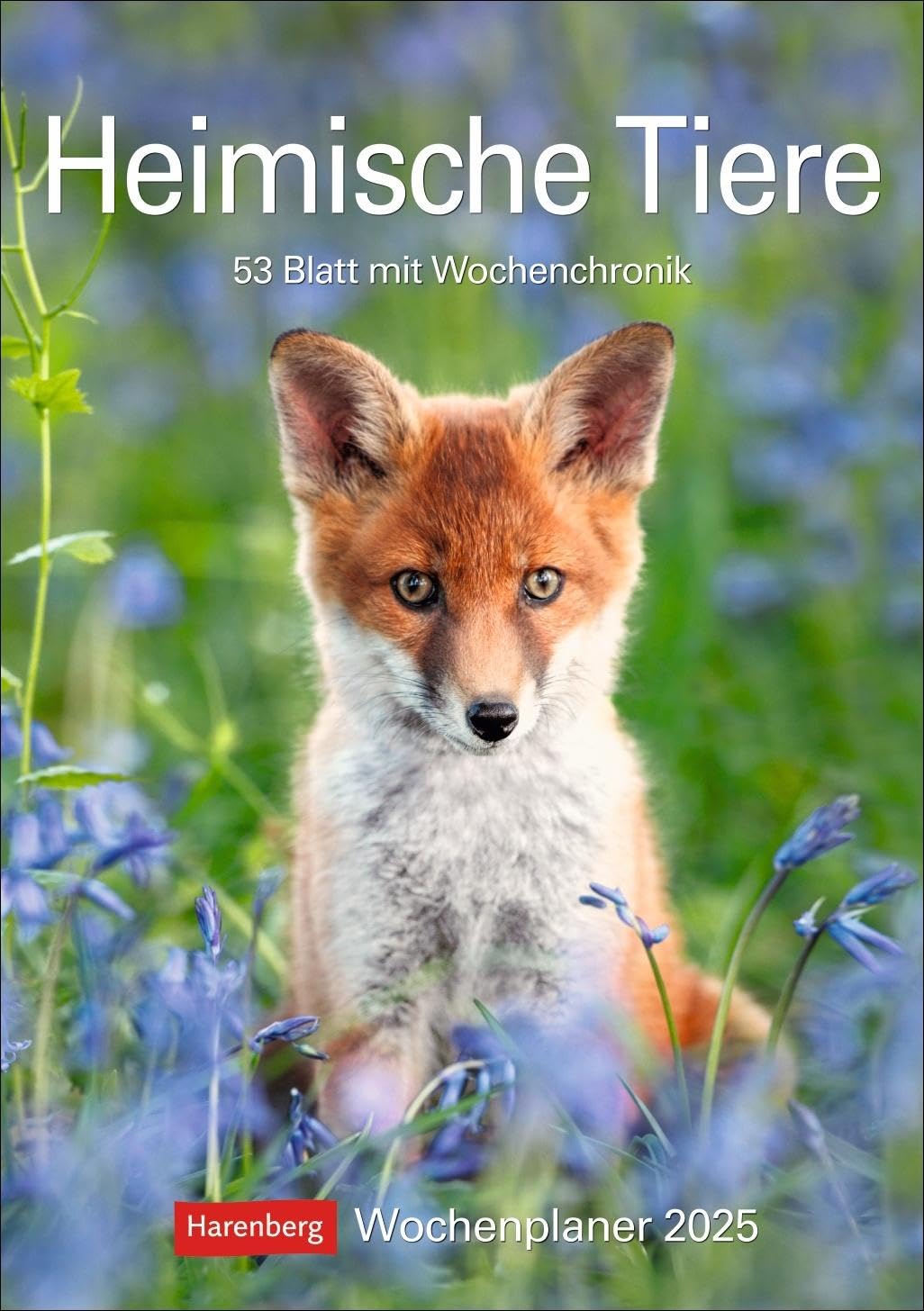 Heimische Tiere Wochenplaner 2025 - 53 Blatt mit Wochenchronik: Jede Woche schöne Tierfotos in einem praktischen Kalender zum Eintragen. Ein ... Aufnahmen und viel Platz für Notizen book