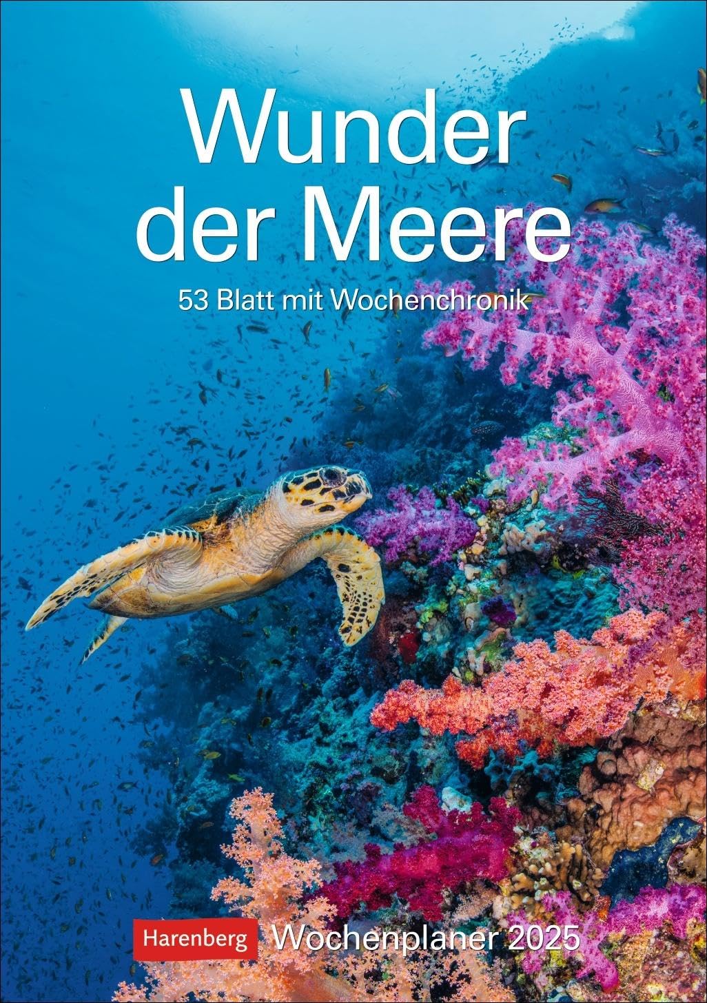 Wunder der Meere Wochenplaner 2025 - 53 Blatt mit Wochenchronik: Ein Wand-Kalender 2025 zum Eintragen und Staunen! Terminkalender mit atemberaubenden ... Infos zu ihrem Leben (Wochenplaner Harenberg) Leisure, Home & Garden