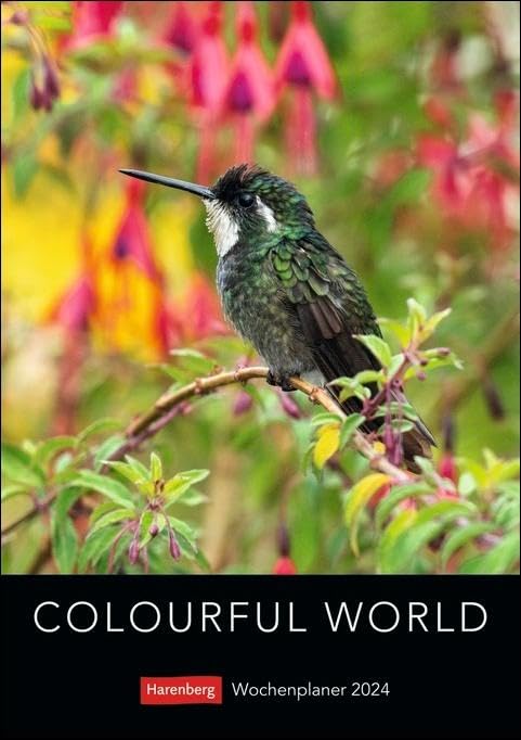 Colourful World Wochenplaner 2024. Terminkalender 2024 zum Aufhängen mit Naturfotos in leuchtenden Farben. Praktischer Wochenkalender von Harenberg Leisure, Home & Garden