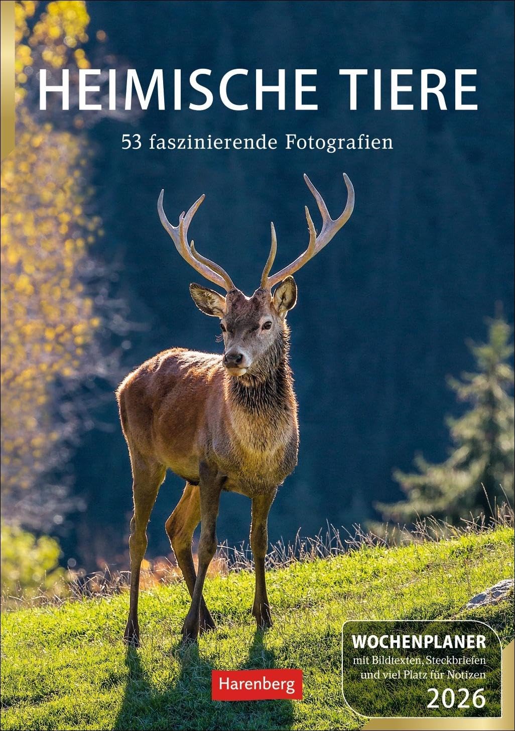 Heimische Tiere Wochenplaner 2026 - 53 faszinierende Fotografien: Jede Woche schöne Tierfotos in einem praktischen Kalender zum Eintragen. Ein ... Platz für Notizen (Wochenplaner Harenberg) Leisure, Home & Garden