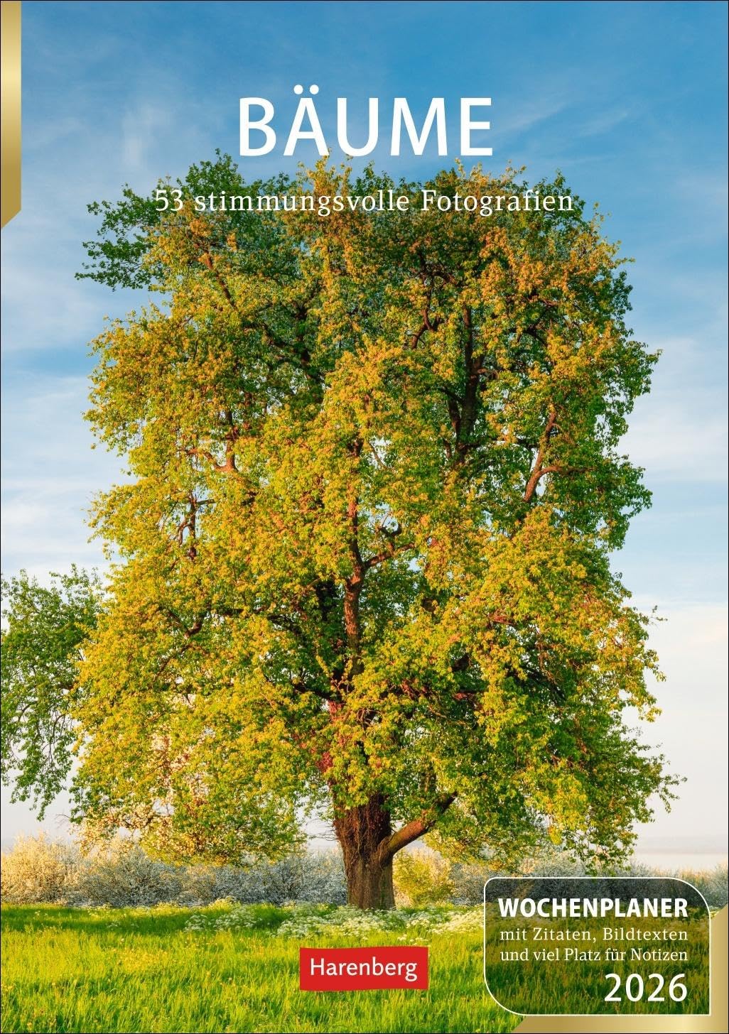 Bäume Wochenplaner 2026 - 53 stimmungsvolle Fotografien: Faszinierende Baumfotos, Zitate und Kurztexte in einer Hommage an den Wald. Praktischer ... Natur-Kalender 2026 (Wochenplaner Harenberg) Leisure, Home & Garden