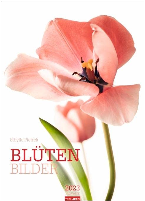 Blütenbilder Kalender 2023. Großer Jahres-Wandkalender mit stilvollen Fotos prachtvoller Blüten. Blumen-Kalender XXL für die Wand. 49x68 cm. Hochformat Calendars