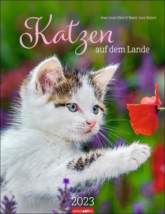 Katzen auf dem Lande Kalender 2023. Süße Kätzchen in ländlicher Idylle: Ein Fotokalender zum Dahinschmelzen. Großer Wandkalender für alle Fans der Stubentiger. Pets