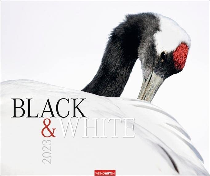 Black & White Wandkalender 2023 Großformat. XXL-Kalender 2023 mit Landschaften und Tieren in kunstvollem Schwarz-Weiß-Stil. Querformat 55x46 cm. Leisure, Home & Garden