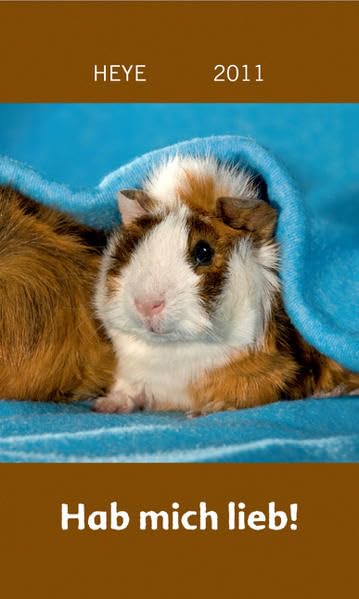 Mini Meerschweinchen Hab mich lieb 2011 Pets