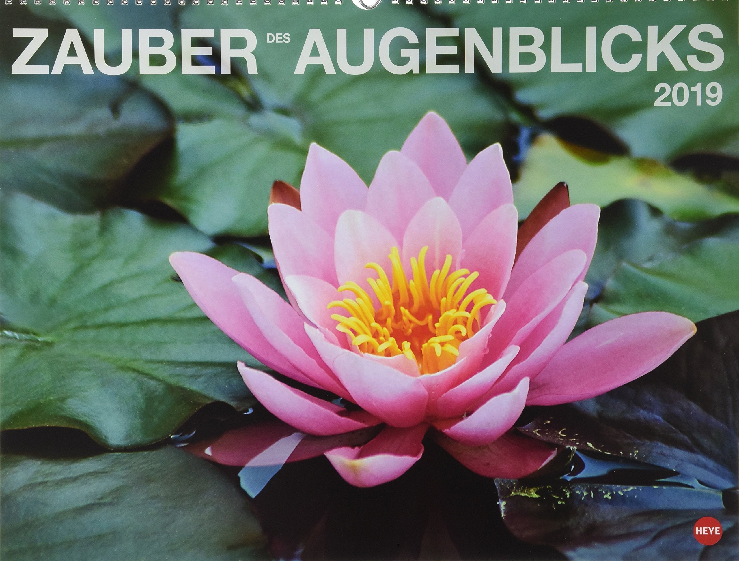 Zauber des Augenblicks - Kalender 2019 Leisure, Home & Garden