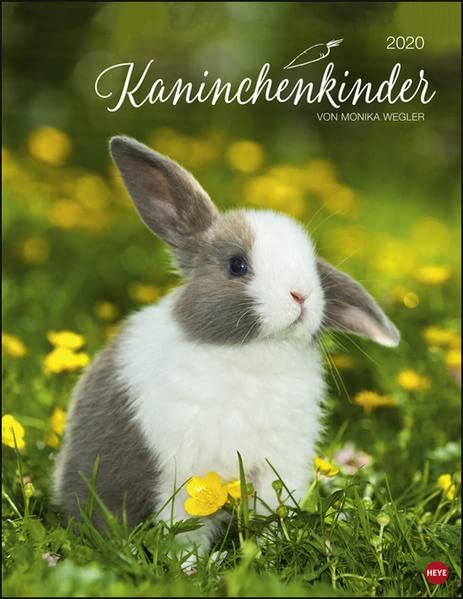 Kaninchenkinder Posterkalender. Wandkalender 2020. Monatskalendarium. Spiralbindung. Format 34 x 44 cm Leisure, Home & Garden