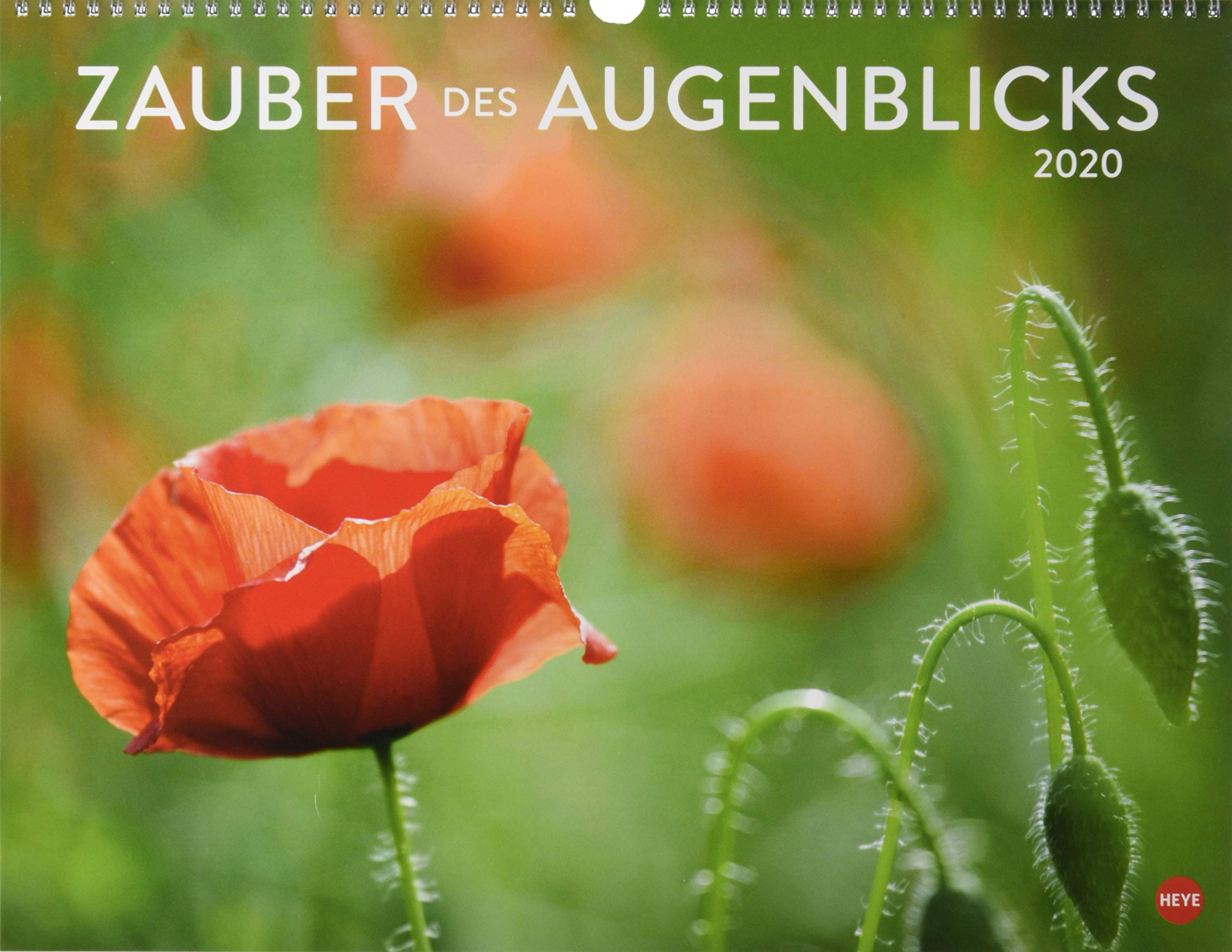 Zauber des Augenblicks. Wandkalender 2020. Monatskalendarium. Spiralbindung. Format 44 x 34 cm Leisure, Home & Garden