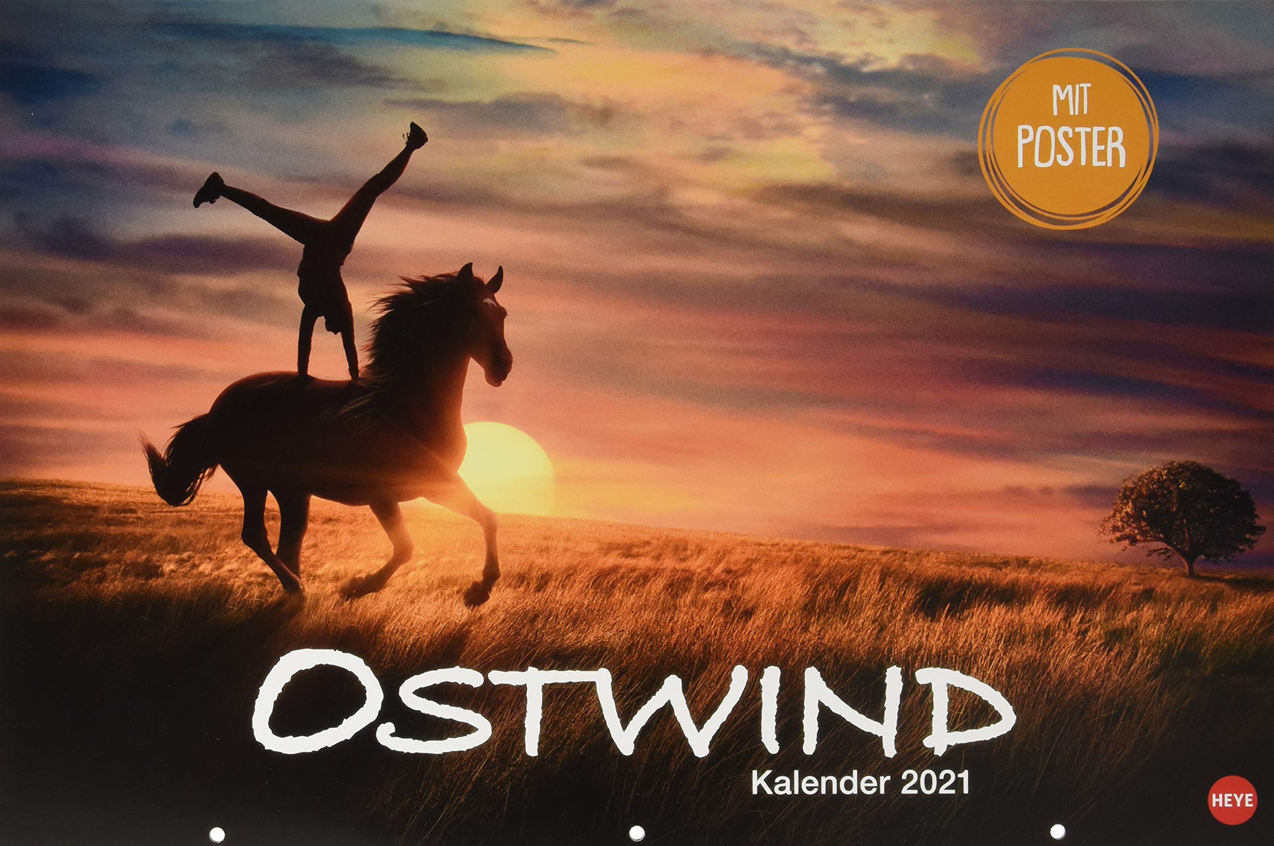 Ostwind Broschurkalender XL 2021 - mit großem Poster - Wandkalender mit Monatskalendarium und Platz für Eintragungen - Format 45 x 30 cm (45 x 60 cm geöffnet) Calendars