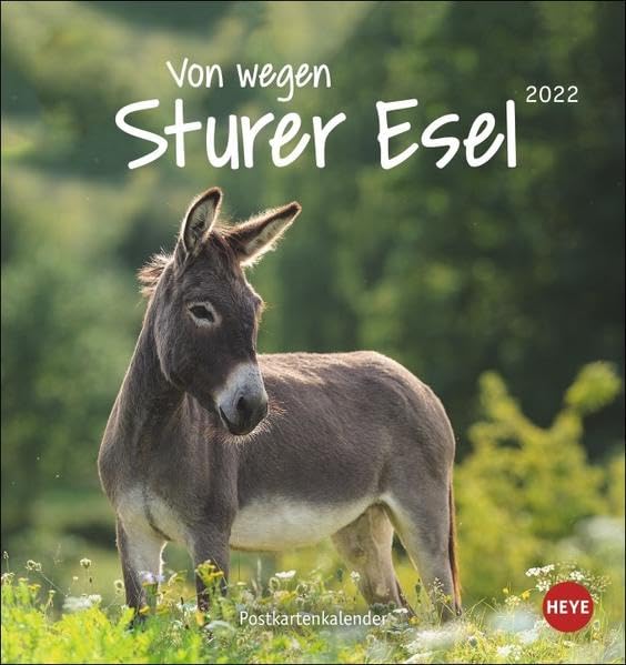 Esel Postkartenkalender 2022: Von wegen sturer Esel Calendars
