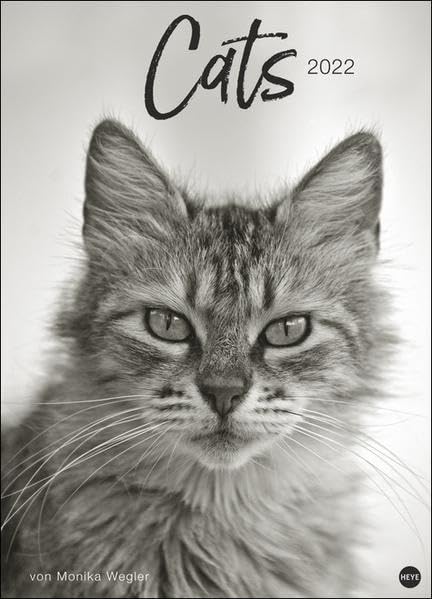 Wegler Cats Edition Kalender 2022 Calendars