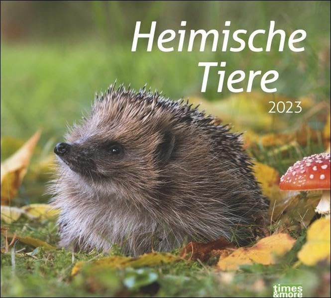 Heimische Tiere Bildkalender 2023 - times&more Tier-Kalender - Wandkalender mit Monatskalendarium - 30 x 27 cm book