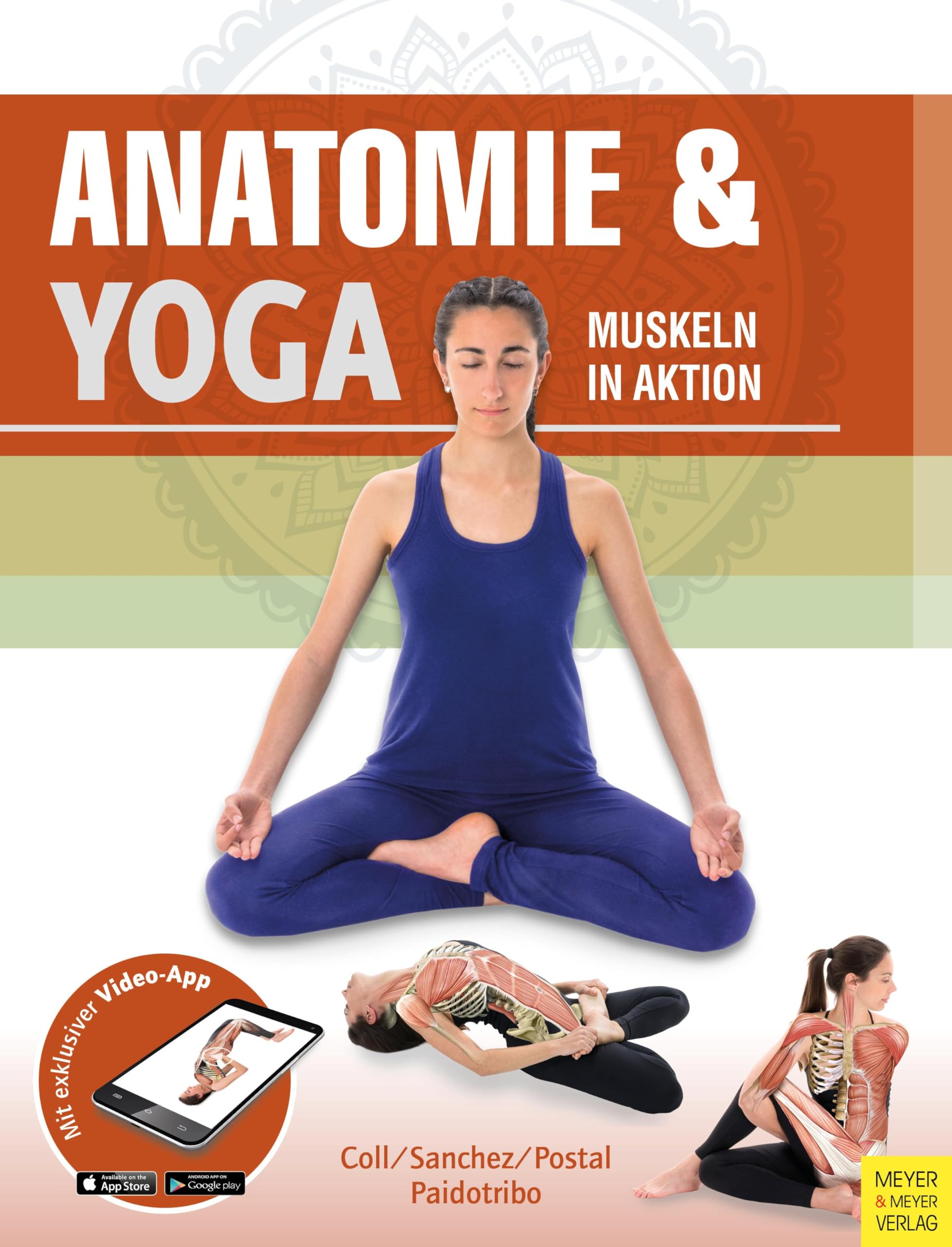 Anatomie & Yoga Medicine Books