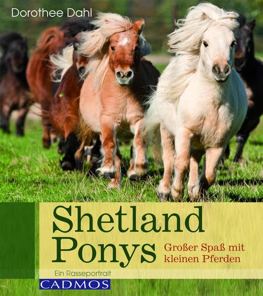 Shetlandponys: Großer Spaß mit kleinen Pferden (Rasseportrait) Pets