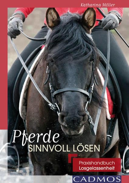 Pferde sinnvoll lösen Pets
