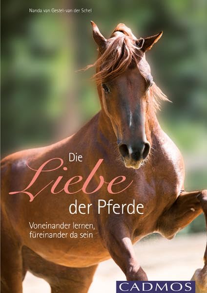 Die Liebe der Pferde: Voneinander lernen, füreinander da sein Pets