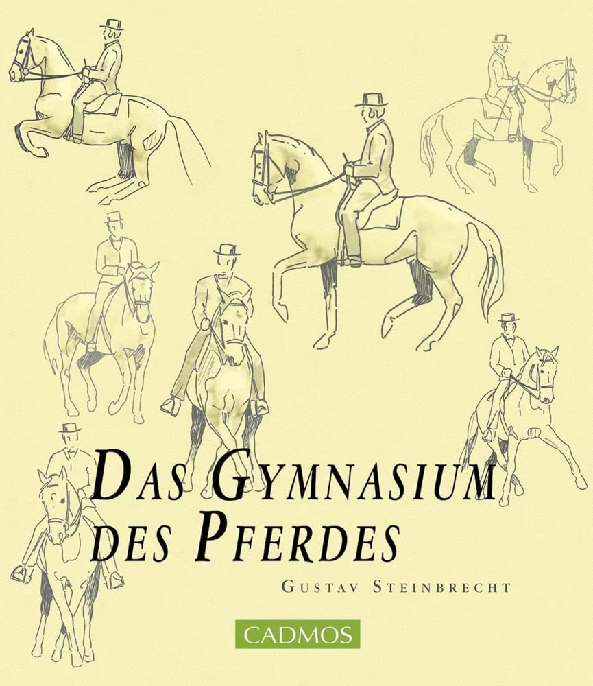 Das Gymnasium des Pferdes Pets