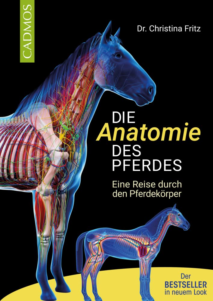 Die Anatomie des Pferdes Pets