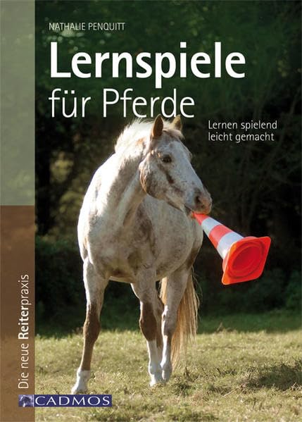 Lernspiele für Pferde Pets