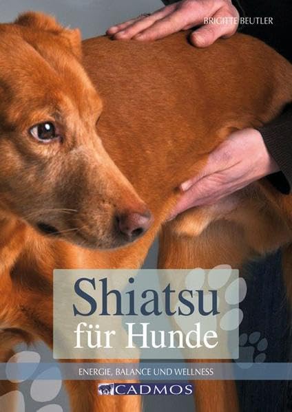 Shiatsu für Hunde Pets