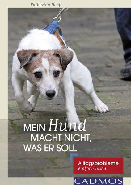Mein Hund macht nicht, was er soll Pets