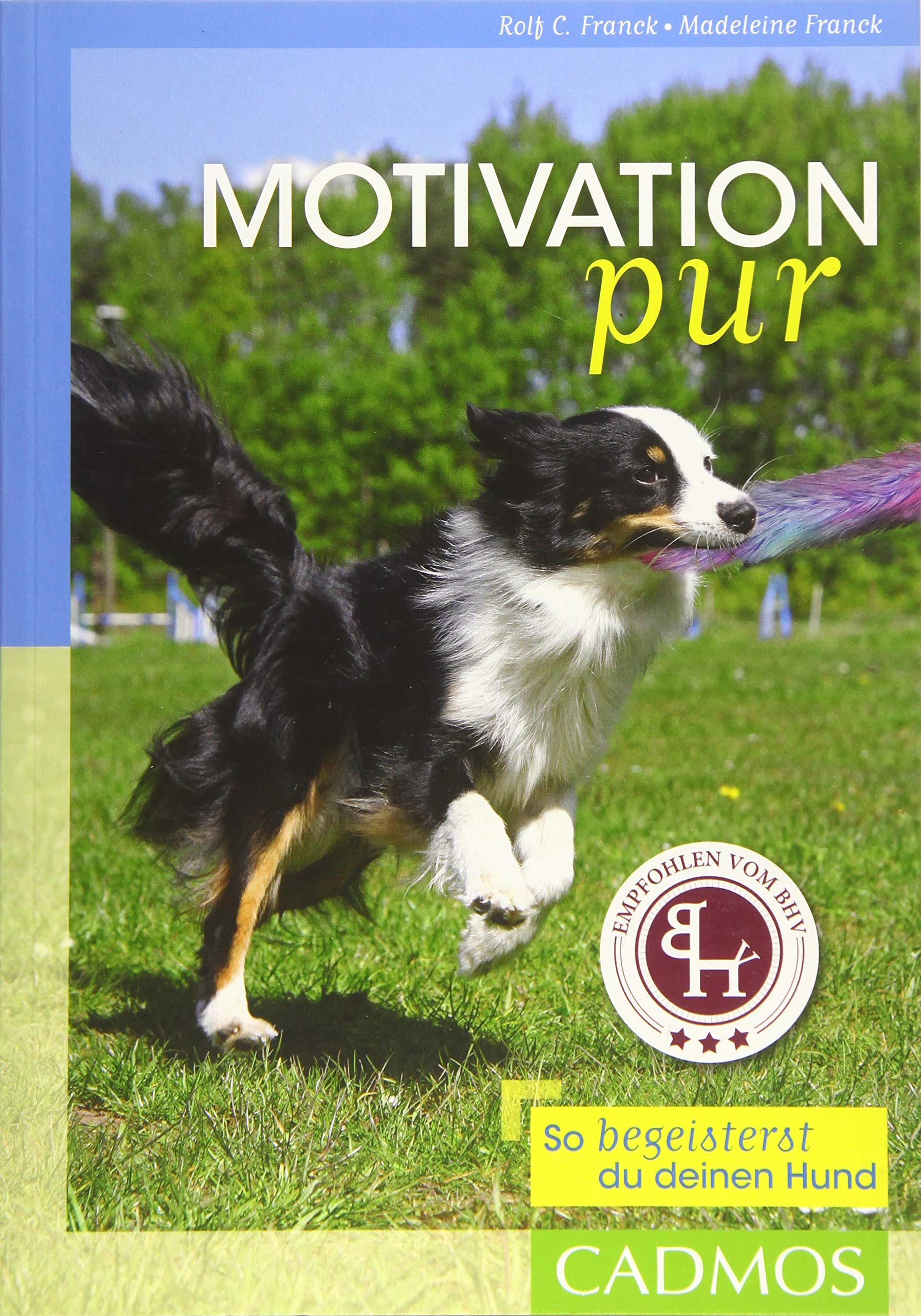 Motivation pur: So begeisterst du deinen Hund Pets