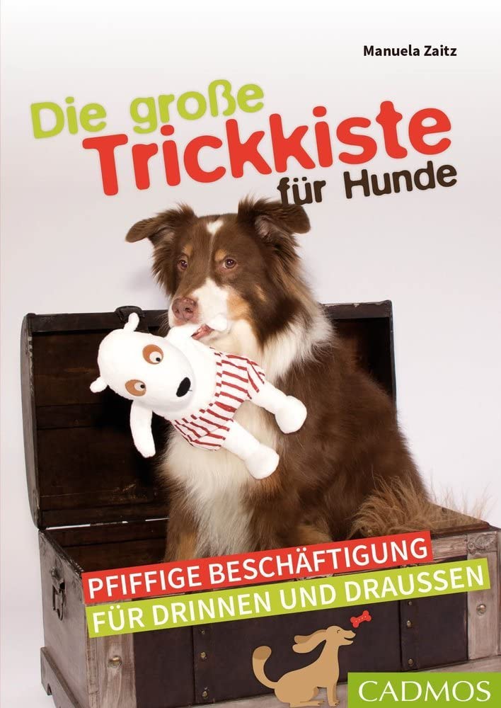 Die große Trickkiste für Hunde Pets