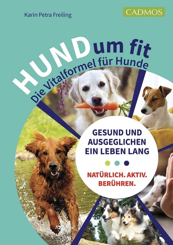 Product Image: HUNDum fit