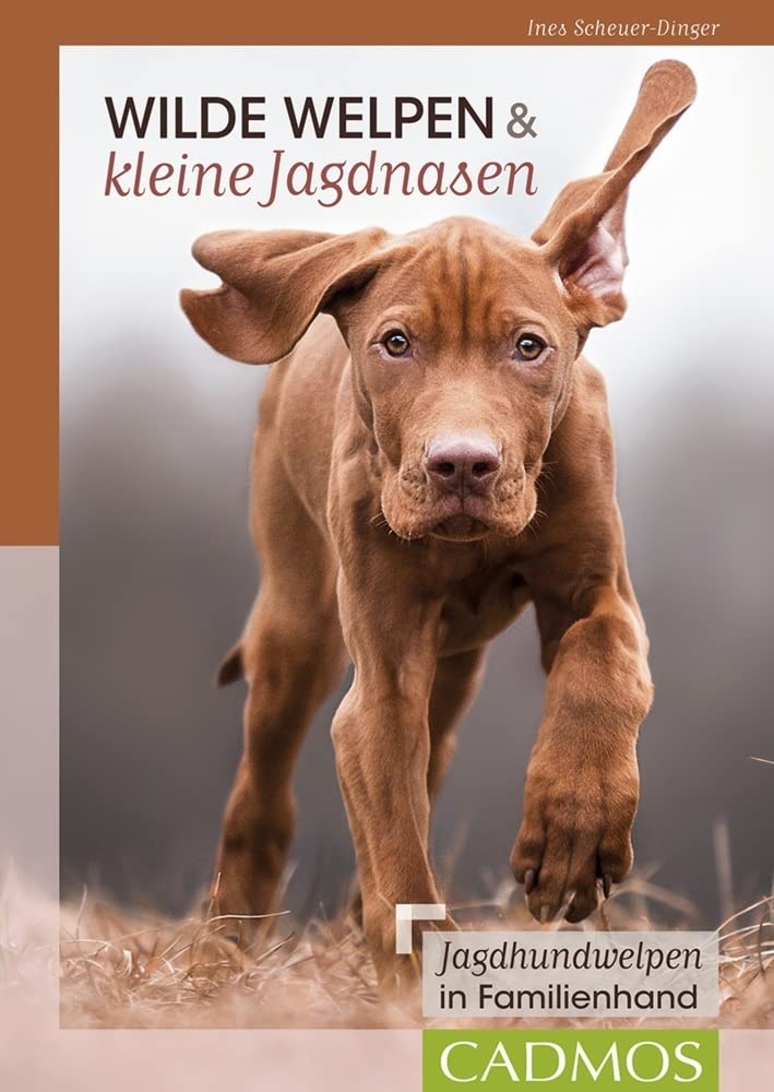 Wilde Welpen & kleine Jagdnasen Pets