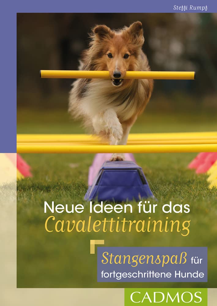 Neue Ideen für das Cavalettitraining Pets