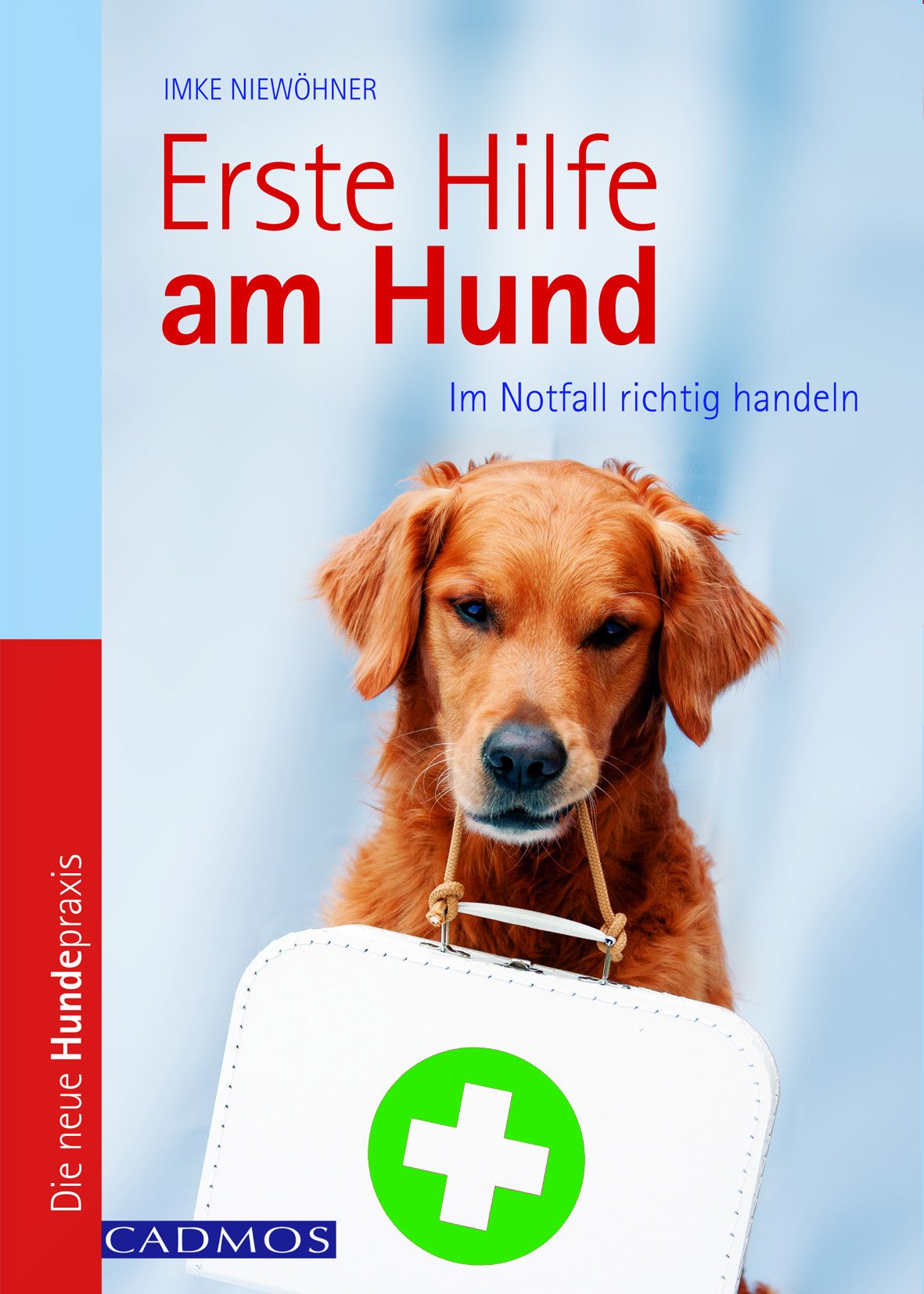 Erste Hilfe am Hund: Im Notfall richtig handeln Pets