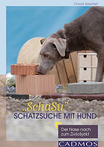 „SchaSu“ – Schatzsuche mit Hund: Der Nase nach zum Zielobjekt Pets