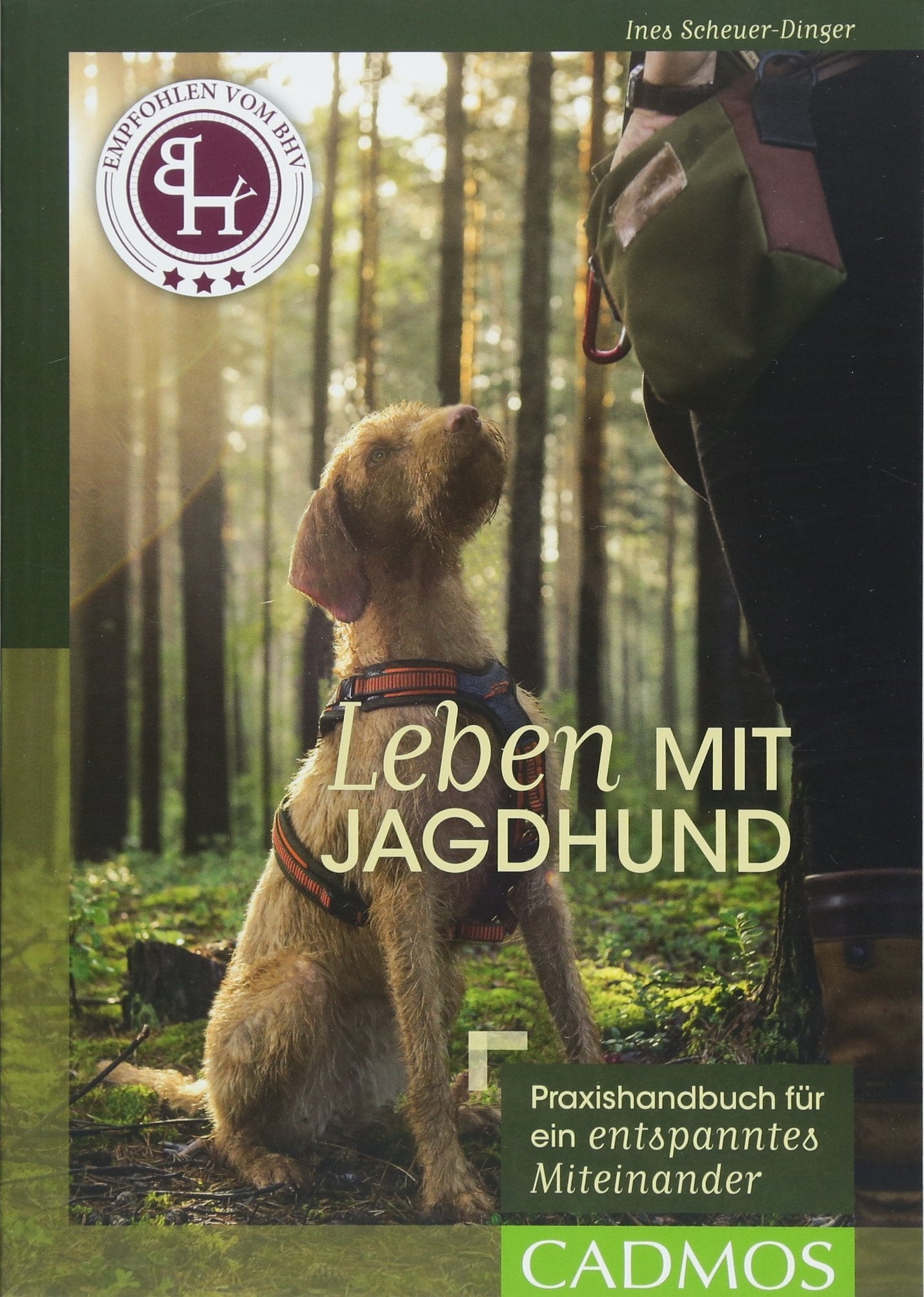 Leben mit Jagdhund Pets