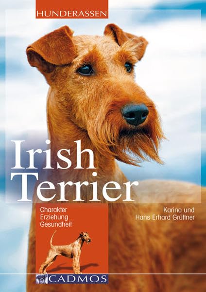 Product Image: Irish Terrier