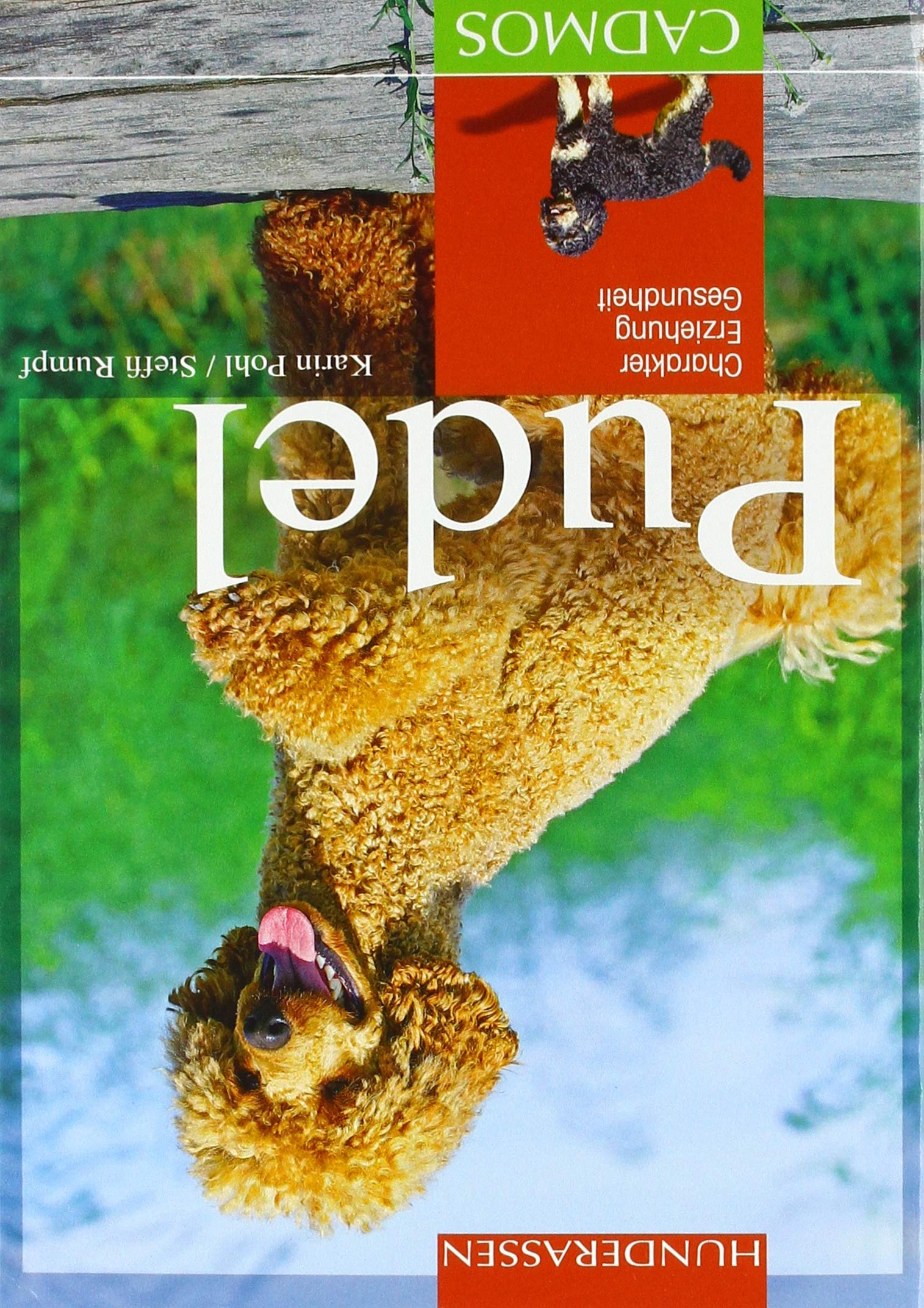 Pudel Books about Pets