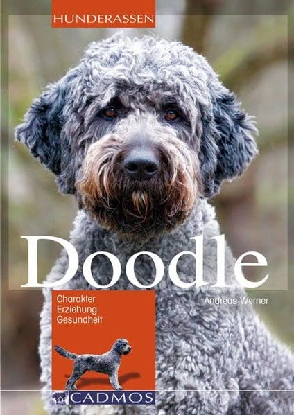 Doodle: Charakter, Erziehung, Gesundheit Pets