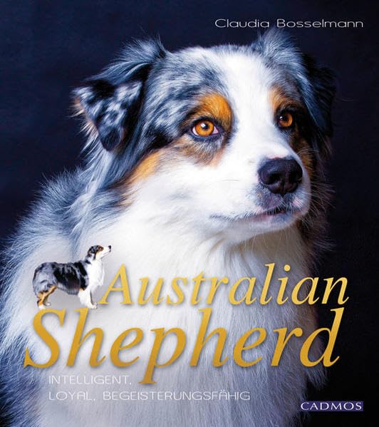 Australian Shepherd Pets