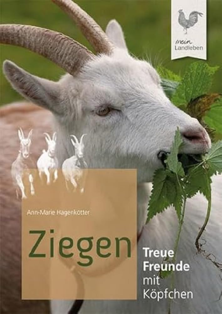 Ziegen Medicine