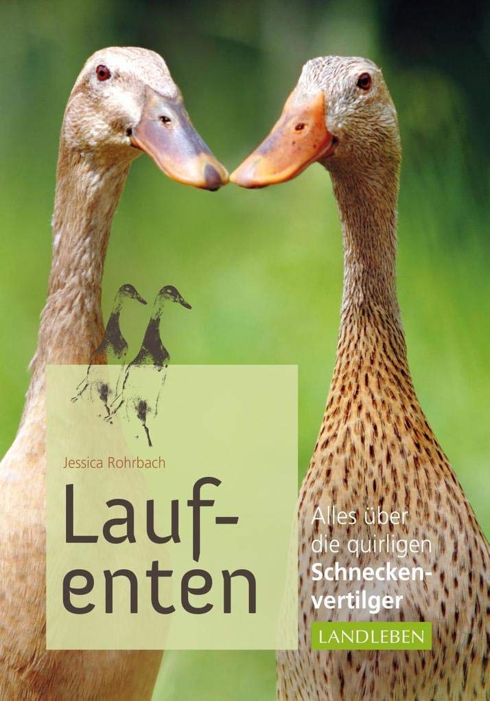 Product Image: Laufenten