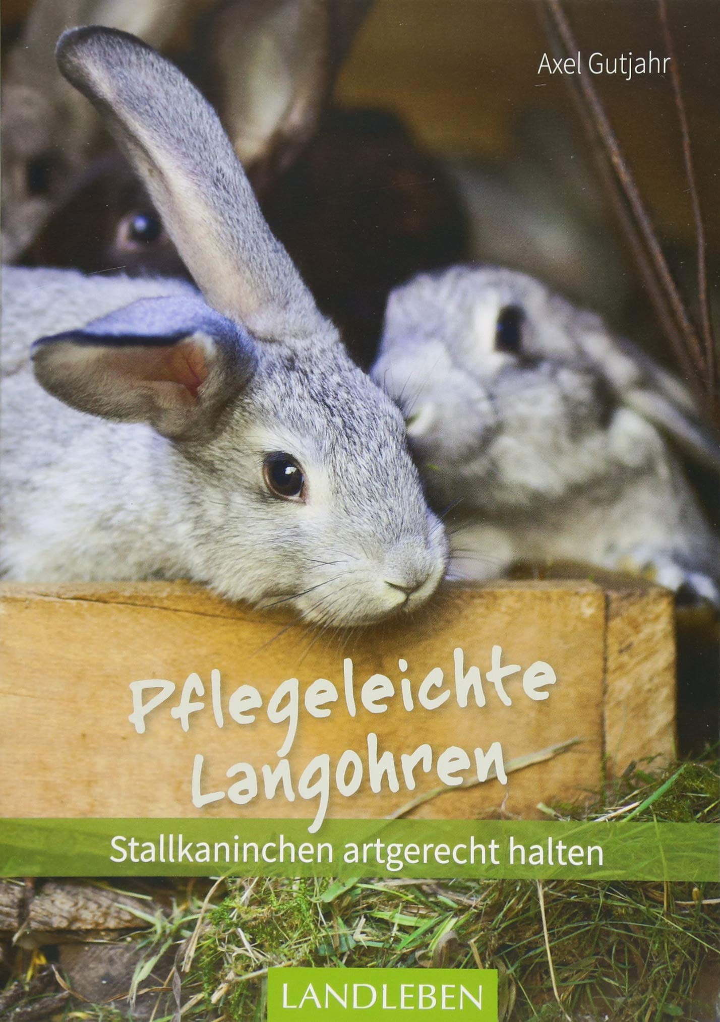 Pflegeleichte Langohren Pets