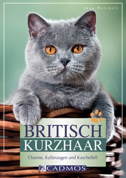 Britisch Kurzhaar Books about Pets