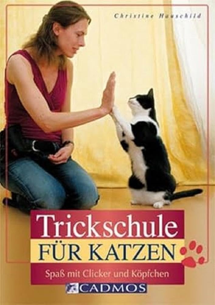 Trickschule für Katzen Pets