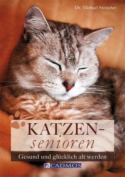 Katzensenioren: Gesund und glücklich alt werden Pets