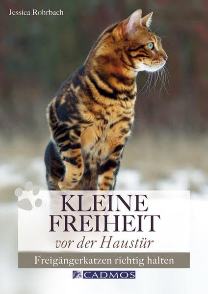 Kleine Freiheit vor der Haustür: Freigängerkatzen richtig halten Pets