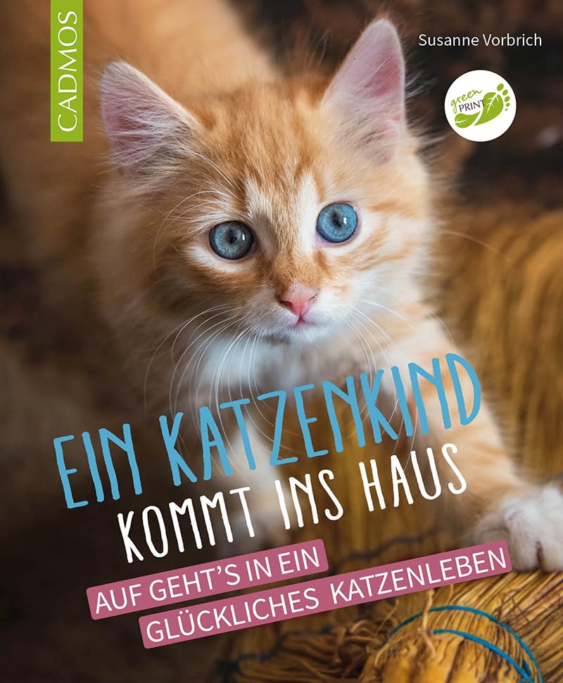 Ein Katzenkind kommt ins Haus: Auf geht's in ein glückliches Katzenleben Pets