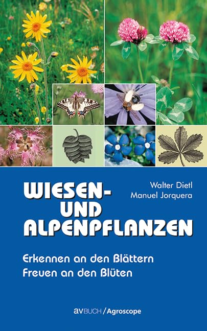 Wiesen- und Alpenpflanzen: Erkennen an den Blättern Freuen an den Blüten Film, Art & Culture